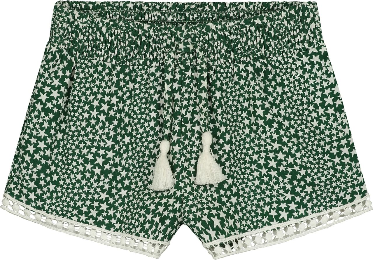 Shiwi Shorts 'Tuvalu' zelená